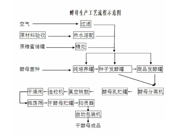 酵母粉_beat365唯一官网_直线beat365唯一官网